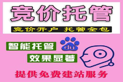 SEM网络推广案例：精准营销助力品牌成长