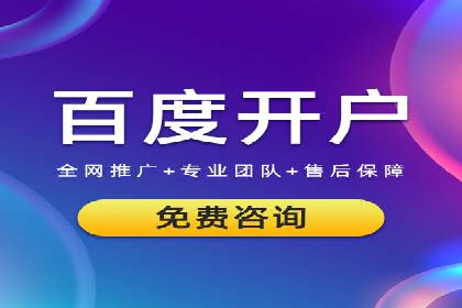 百度竞价运营策略：成功案例解析